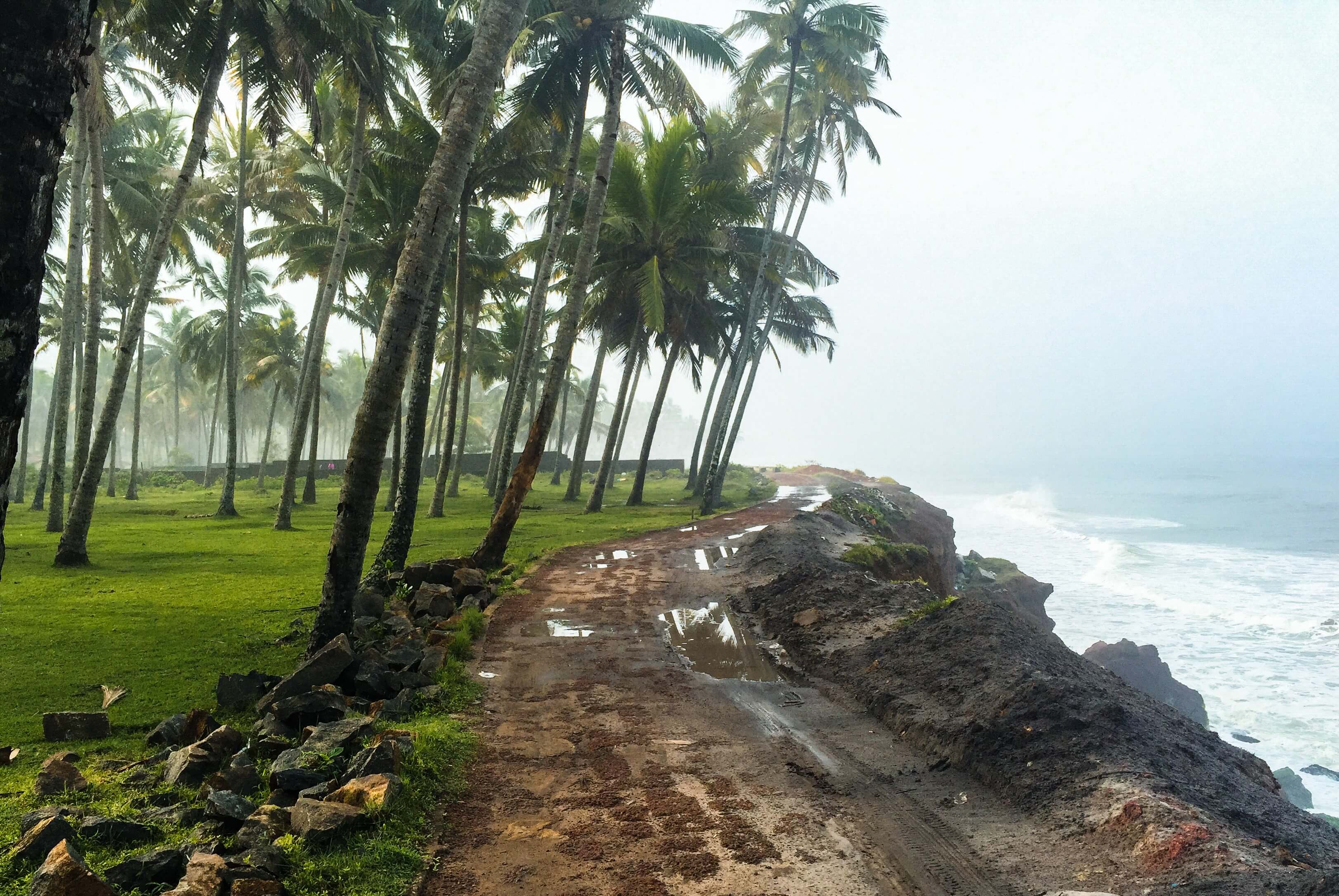 Palm trees on a grassy outcrop at south India destinations, south India travel guide.