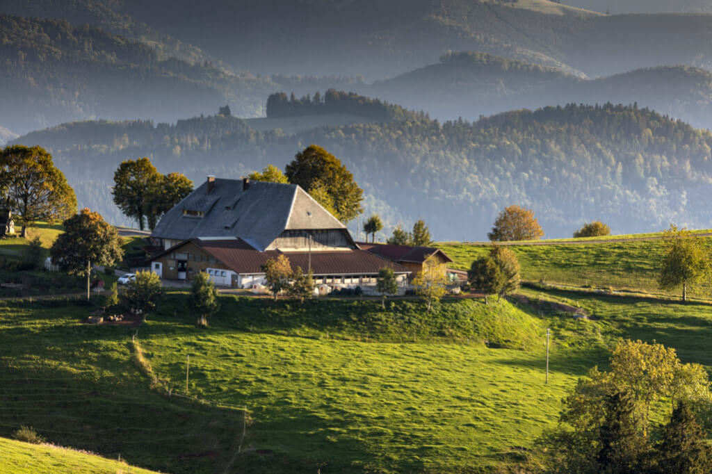 A traditional Black forest farm in the hills, which you will see on your Black Forest itinerary.