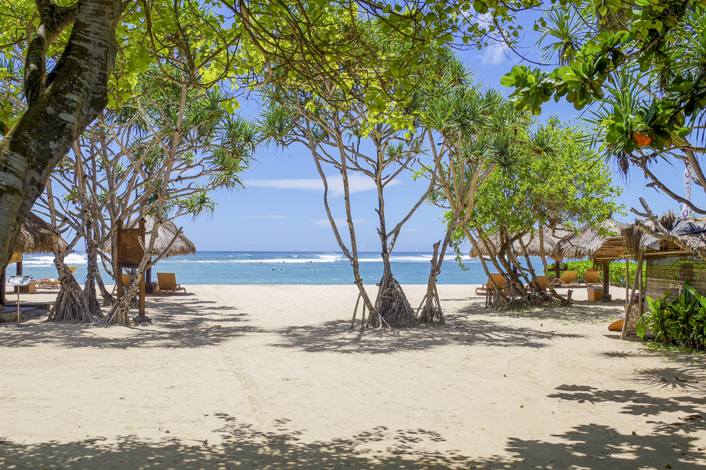A shady palmed lined beach in Bali for a Bali trip planner.